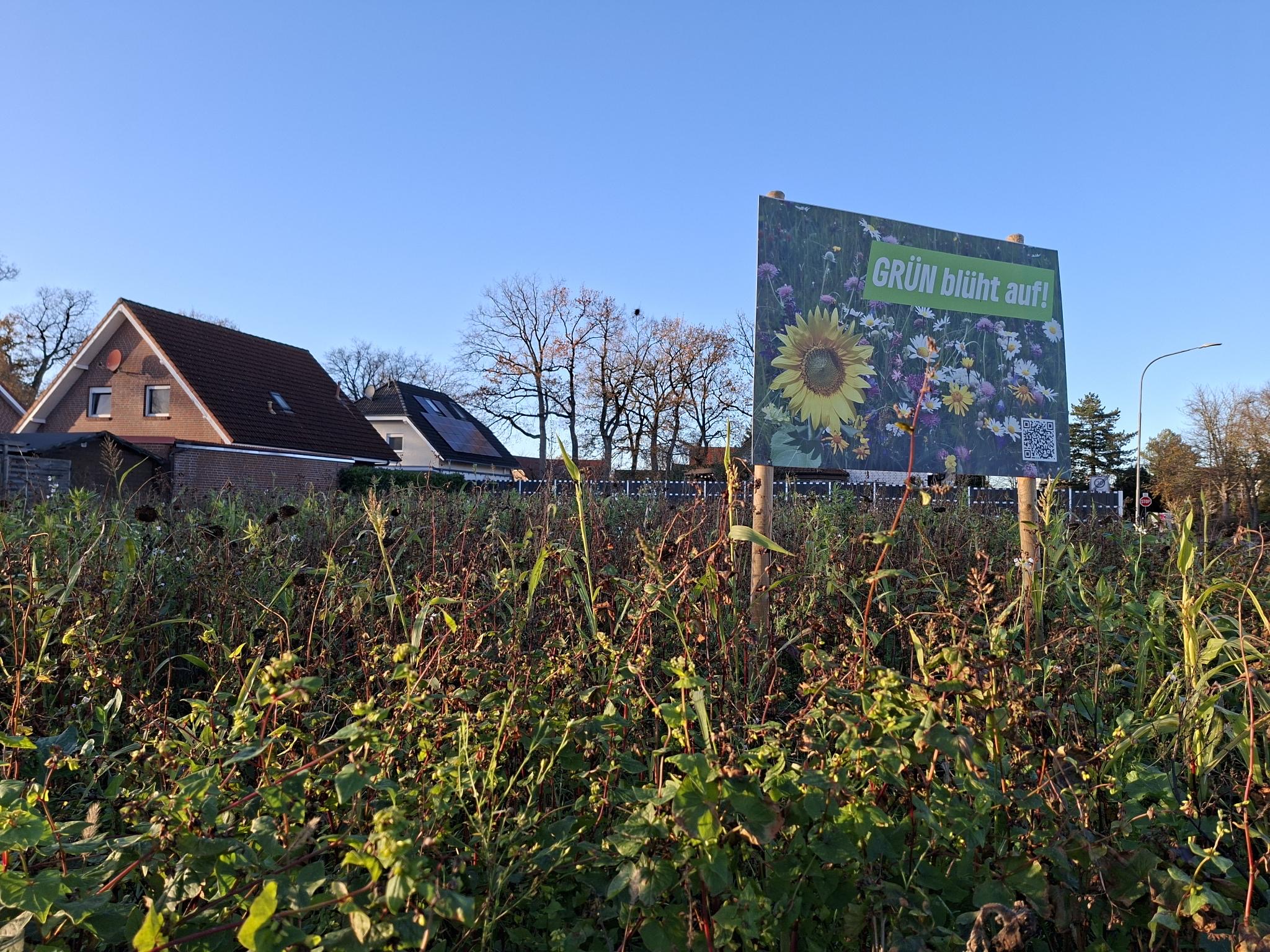 Unsere Blumenwiese im November